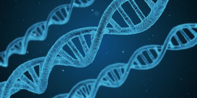 Новая попытка корректировки генома человека
